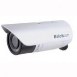 Brickcom GOB-100Ap